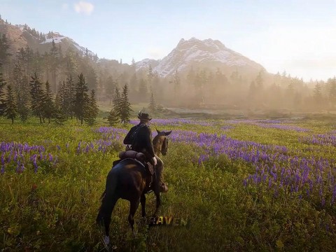 荒野大镖客线上能玩什么