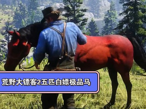 荒野大镖客什么马鞍最好