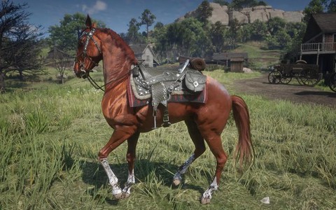 荒野大镖客什么马鞍最好[图2]