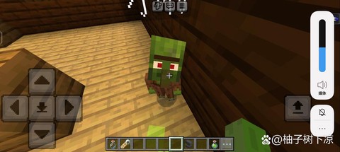 我的世界手机版怎么训服僵尸[图1]